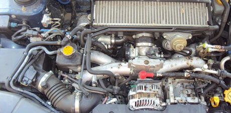 Engine bay cleaned and detailed by Lee's